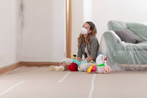 Reliable Black Mold Removal contractor in Delta, PA by WQB Mold Removal